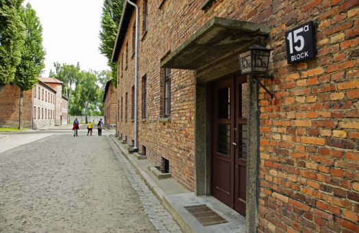 Auschwitz Day Trips from Prague