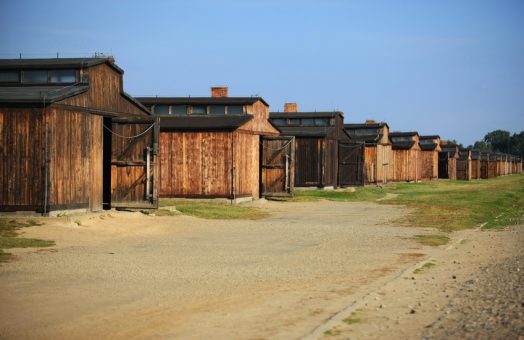 Auschwitz Day Trips from Prague