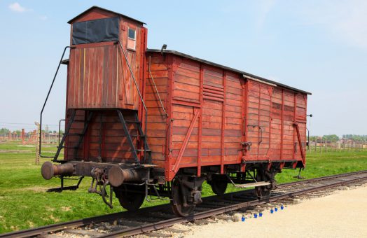 Auschwitz Day Trips from Prague