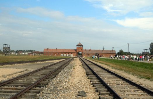 Auschwitz Day Trips from Prague